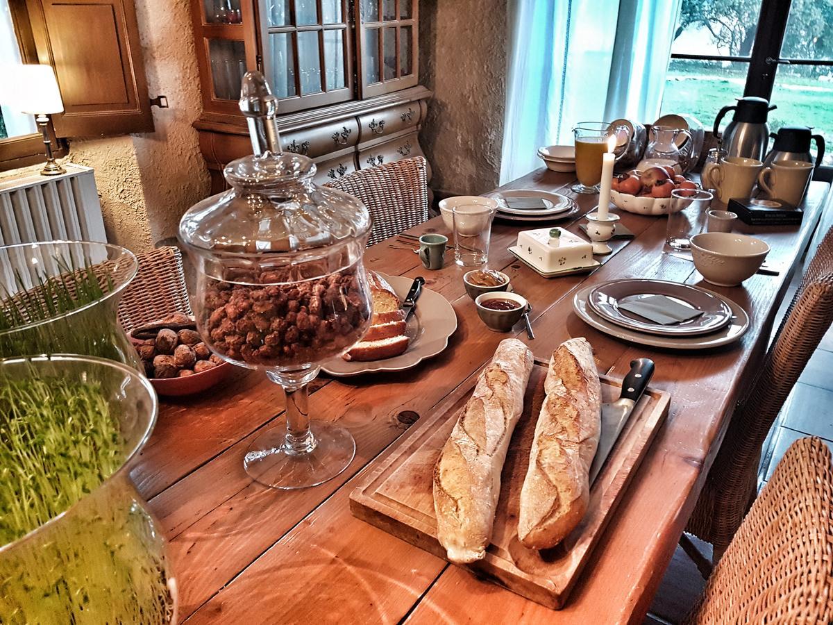 Le Domaine Saint Martin Bed & Breakfast Flassans-sur-Issole Exterior foto