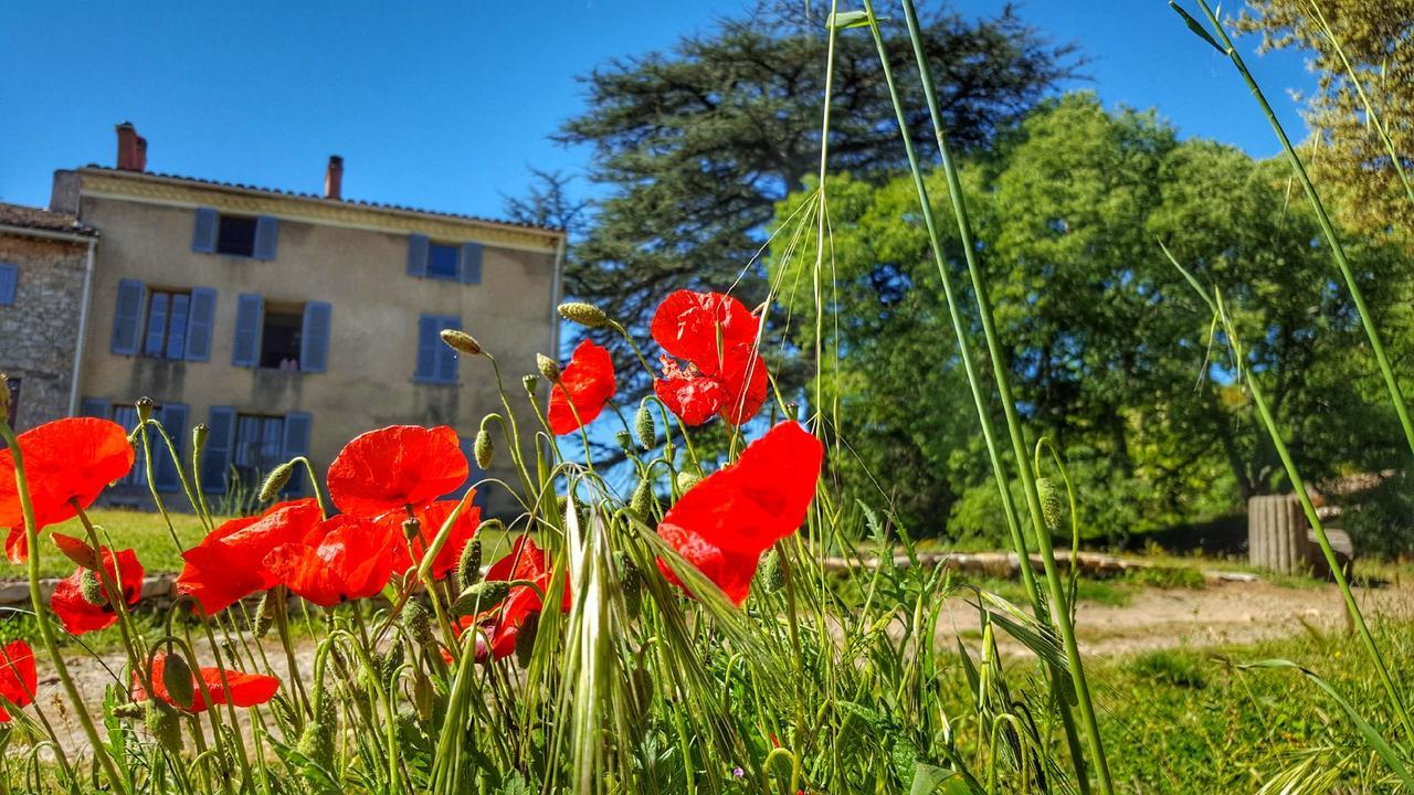 Le Domaine Saint Martin Bed & Breakfast Flassans-sur-Issole Exterior foto